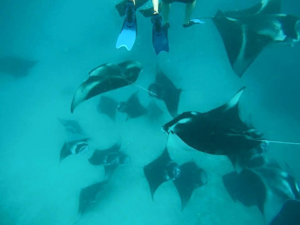 Summer Shade Maldives Dharavandhoo Zewnętrze zdjęcie